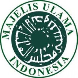 MUI Imbau Umat Islam Jauhi Petasan