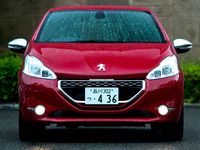 Hot Hatch Peugeot 208 GTi 