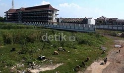  Akses Jalan Dibuka, Belasan Kambing Diusir dari SMPN 289