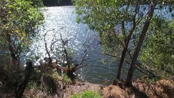 Danau Rum Jungle, Tambang Uranium yang Jadi Objek Wisata di Australia