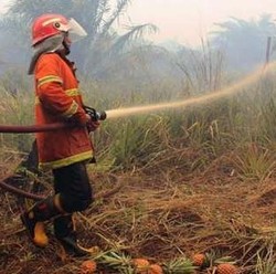 Status Tanggap Darurat Kebakaran Hutan Riau Dicabut