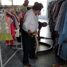 Sempat Dikira Perampok, Ular Piton Kacaukan Toko di Australia