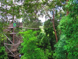 Tantang Adrenalin di Jembatan Gantung 30 Meter, Kaltim