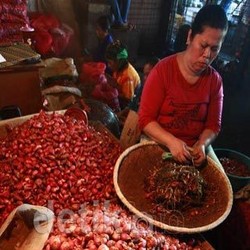 Masuk Bulan Puasa, Bawang Merah Langsung Melejit Jadi Rp 52.000/Kg