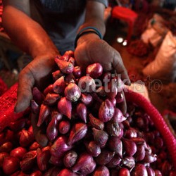 Selain Cabai, 16.000 Ton Bawang Merah Impor Siap Masuk RI
