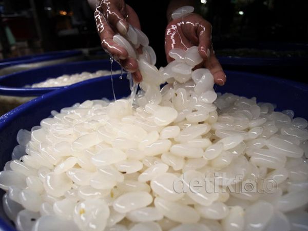 Permintaan Kolang Kaling Meningkat Saat Ramadan