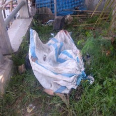 Identitas Mayat Dalam Karung di Jagir Masih Gelap