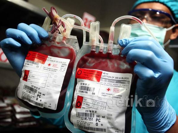 Stok Darah PMI DKI Selama Ramadan Aman