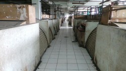 Ini Keluhan PKL Tanah Abang yang Menolak Direlokasi ke Blok G