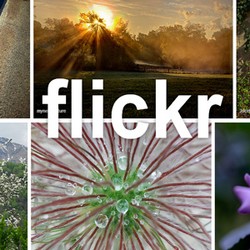 Dikeluhkan, Yahoo! Tetap Boyong Toolbar Baru di Flickr