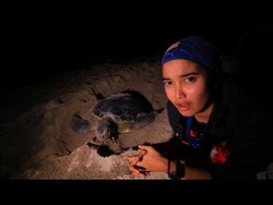 Si Cantik dari Anambas