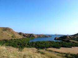 Ide Liburan di Pulau Komodo ala Gwyneth Paltrow