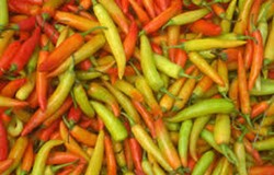 Cabai Mahal? Siasati Konsumsinya dengan Cara Ini!