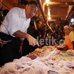 Harga Cabai Rawit Rp 80.000/Kg, Gita Wirjawan: Kebangetan!