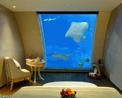 Wow, Tidur di Hotel Ini Anda Akan Ditemani Puluhan Ribu Hewan Laut