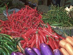 Pedasnya Harga Cabai Tak Dinikmati Ning dan Sukiyem, Ini Kisahnya