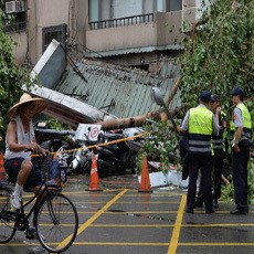 Bersihkan 4 Ribu Pohon Tumbang, 13 Ribu Petugas Dikerahkan di Taiwan