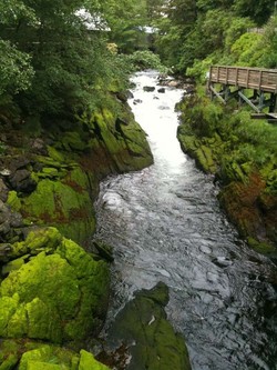 Melancong ke Ketchikan, Kota Penghasil Salmon Terbesar di Dunia