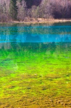 Cantik! 7 Keajaiban Alam yang Warna-warni