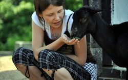 Setelah Kafe Kucing, Kini Ada Kafe Kambing di Tokyo!