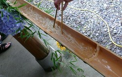 Wouw! Mie Ini Meluncur dengan Kecepatan 15 Kilometer per Jam!