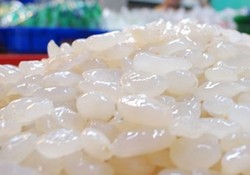 Kolang-kaling yang Legit Empuk