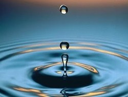 Buah Kebeningan Hati