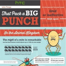 Infographic Ungkap Keberadaan HTC One Mini 