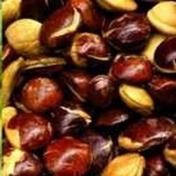 Bertahan 3 Pekan, Harga Jengkol dan Petai Tetap Tinggi