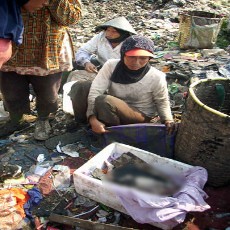 Mayat Bayi Perempuan Ditemukan di LPA Benowo