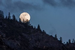 Mau Operasi? Lakukan Saat Bulan Purnama Jika Ingin Cepat Sembuh