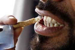 Begini Cara Memakai Siwak yang Benar Agar Napas Segar