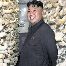 Ini Dia Hobi Baru Pemimpin Korut: Budidaya Jamur!