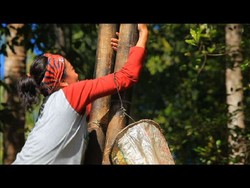 Jejak Sejarah Bumi Porodisa