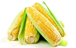 Ngemil Jagung Juga Bisa Mengontrol Rasa Lapar