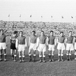 Pertarungan Kucing Eropa dan Tikus Asia