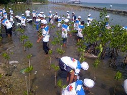 Santri Sanlat KRI Tanjung Nusanive Tanam Bakau di Pulau Untung Jawa