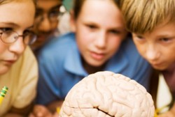 4 Trik Melindungi Otak dari Pikun