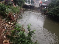  Jasad Bayi Mungil itu Ditemukan Nyangkut di Dahan Kali