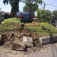 Toyota Corolla Nangkring di Taman