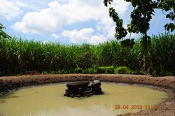 Misteri Penemuan Candi Wangkal di Jawa Timur