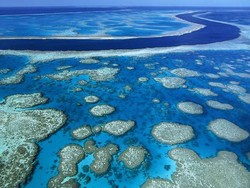 Parah! Great Barrier Reef Dijatuhi Bom Jet Tempur AS