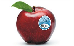 Digosok dengan Air, Label Buah Berubah Jadi Sabun Cuci!