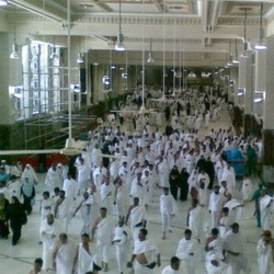 Lebih Untung Mana, Jual Paket Umrah atau Travel Biasa?