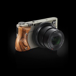 Hasselblad Stellar, Versi Mewah RX100