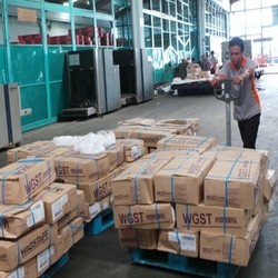 Wamendag Jamin Daging Impor yang Dijual Bulog Halal