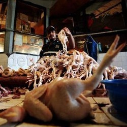  Pasar Murah di Ciracas, 100 Ekor Ayam Langsung Ludes Terjual