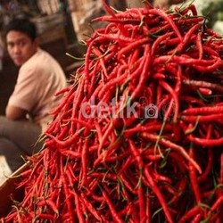 China Gagal Panen, RI Impor Cabai dan Bawang Merah dari Thailand dan Vietnam