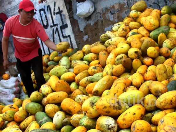 Timun Suri Laris Manis Saat Puasa