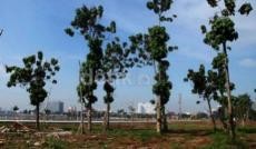 Blusukan Jokowi, Manfaat atau Mudarat?